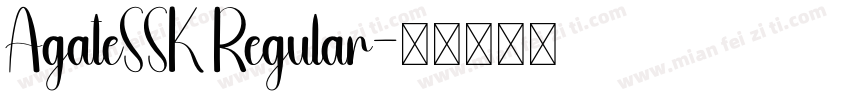 AgateSSK Regular字体转换